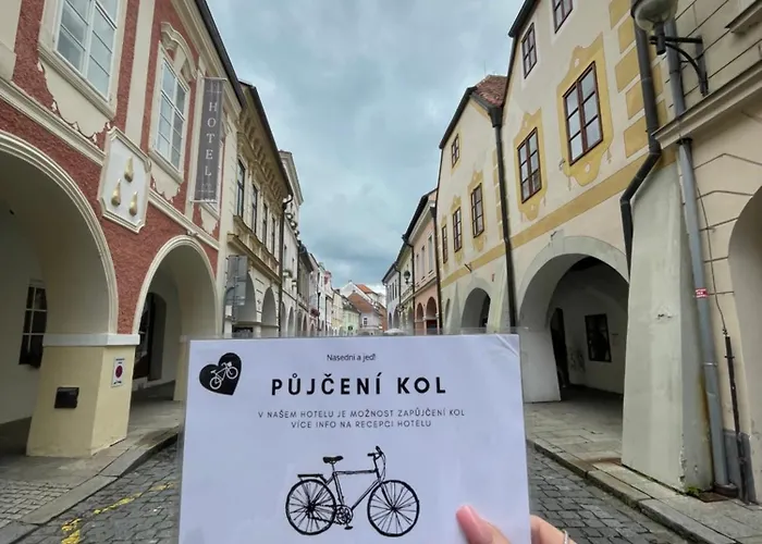 Aparthotel U Tří Hrušek Suites&apartments 4*