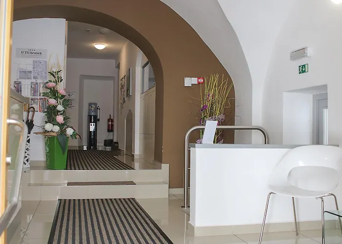 U Tri Hrusek & Aparthotel Ceske Budejovice